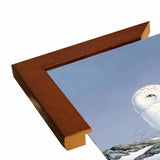 Snowy Owl-WILGOE81236 Framed Print 10.75"x6.75" by Wilhelm Goebel