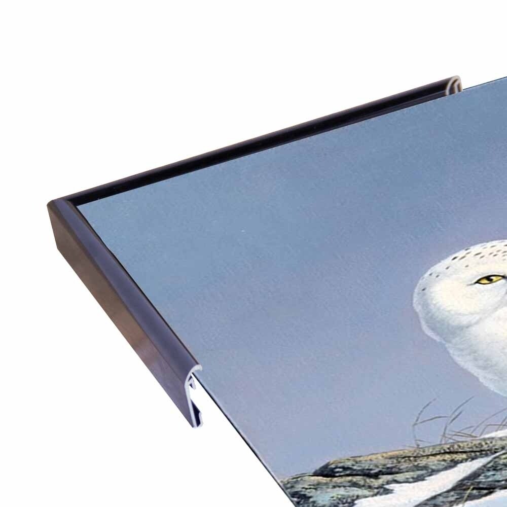Snowy Owl-WILGOE81236 Framed Print 10.75"x6.75" by Wilhelm Goebel