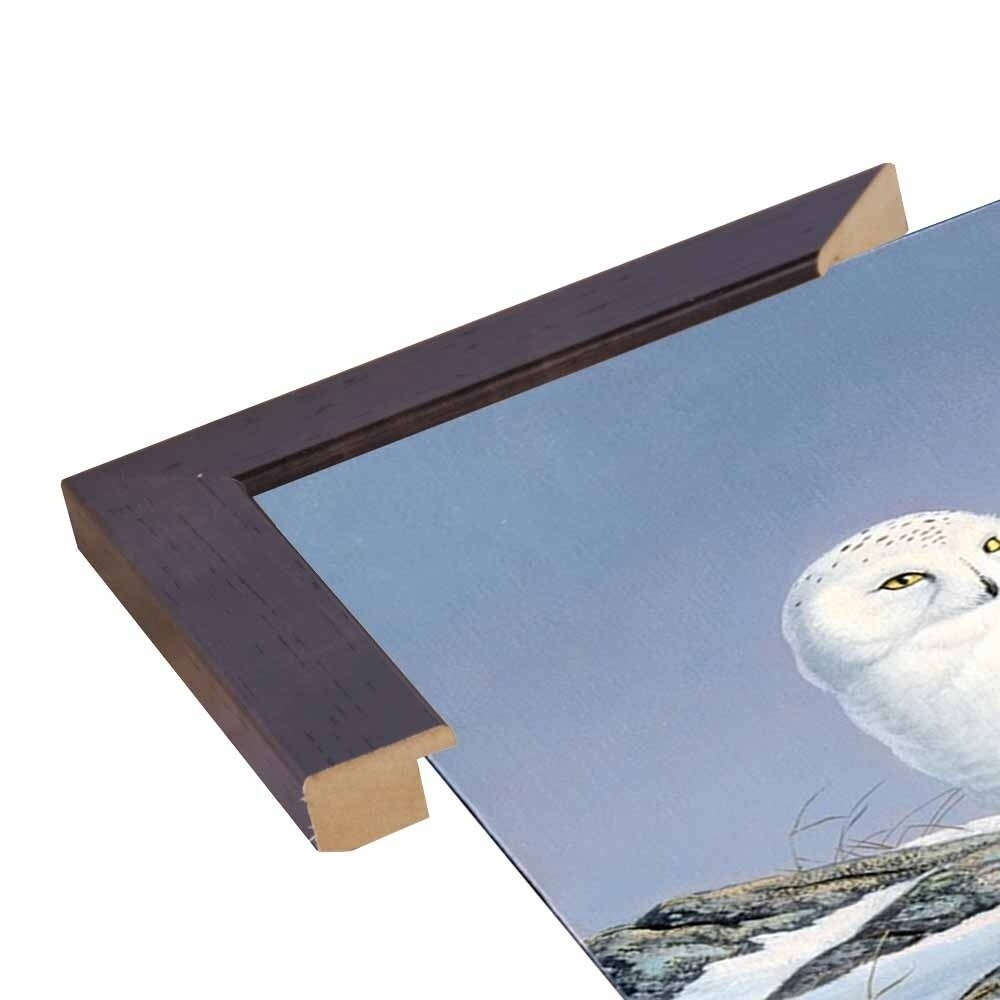 Snowy Owl-WILGOE81236 Framed Print 10.75"x6.75" by Wilhelm Goebel
