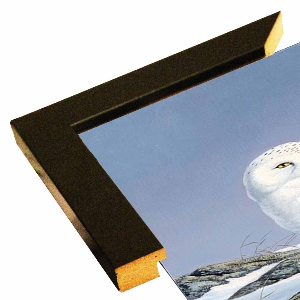 Snowy Owl-WILGOE81236 Framed Print 10.75"x6.75" by Wilhelm Goebel