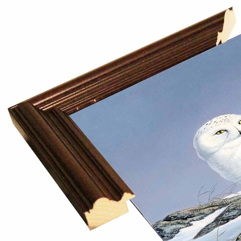 Snowy Owl-WILGOE81236 Framed Print 10.75"x6.75" by Wilhelm Goebel
