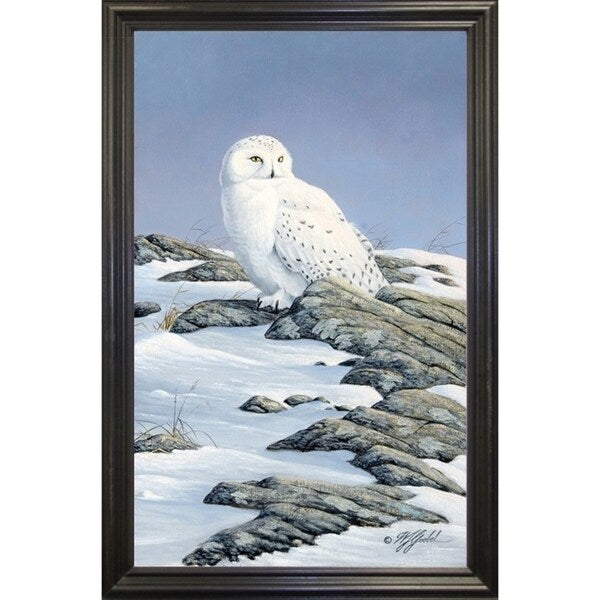 Snowy Owl-WILGOE81236 Framed Print 10.75"x6.75" by Wilhelm Goebel