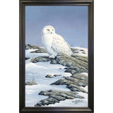 Snowy Owl-WILGOE81236 Framed Print 10.75"x6.75" by Wilhelm Goebel