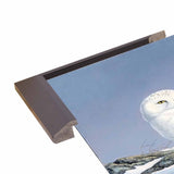 Snowy Owl-WILGOE81236 Framed Print 10.75"x6.75" by Wilhelm Goebel
