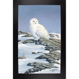 Snowy Owl-WILGOE81236 Framed Print 10.75"x6.75" by Wilhelm Goebel