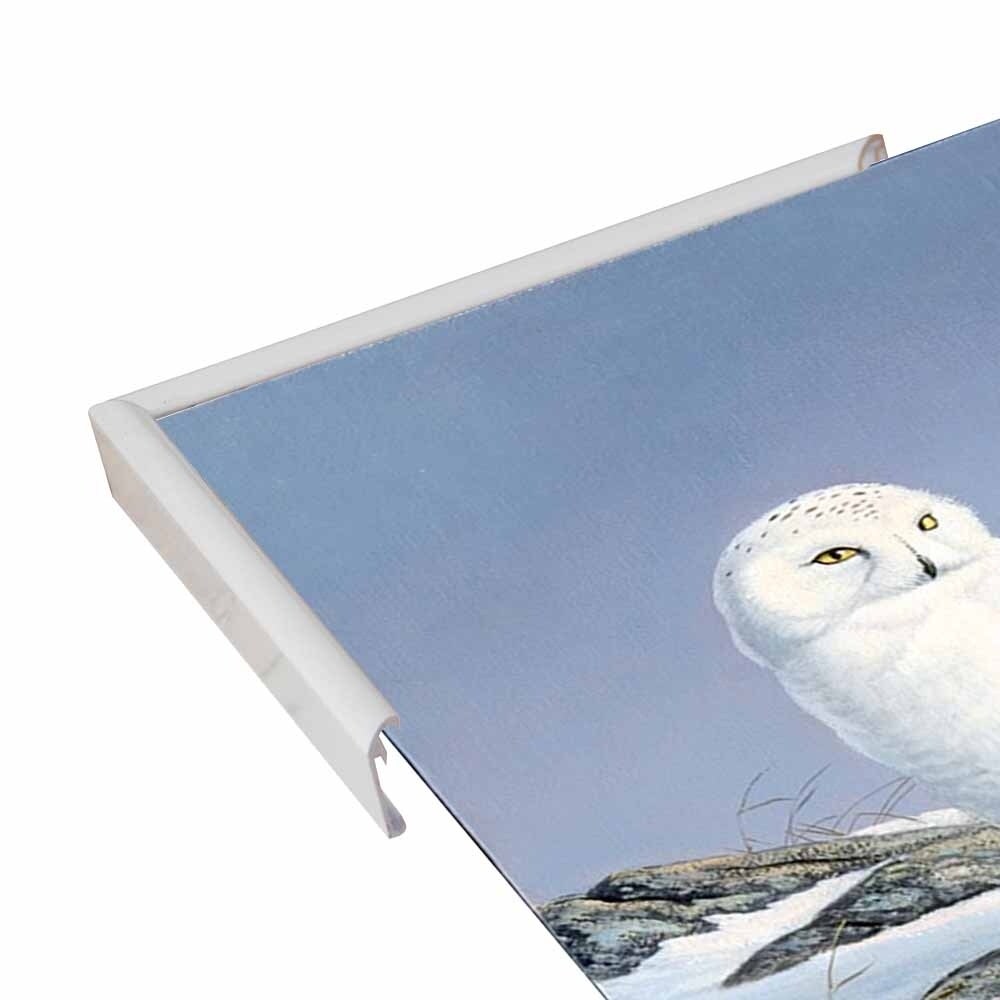 Snowy Owl-WILGOE81236 Framed Print 10.75"x6.75" by Wilhelm Goebel