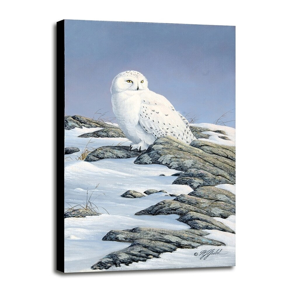Snowy Owl-WILGOE81236 Framed Print 10.75"x6.75" by Wilhelm Goebel