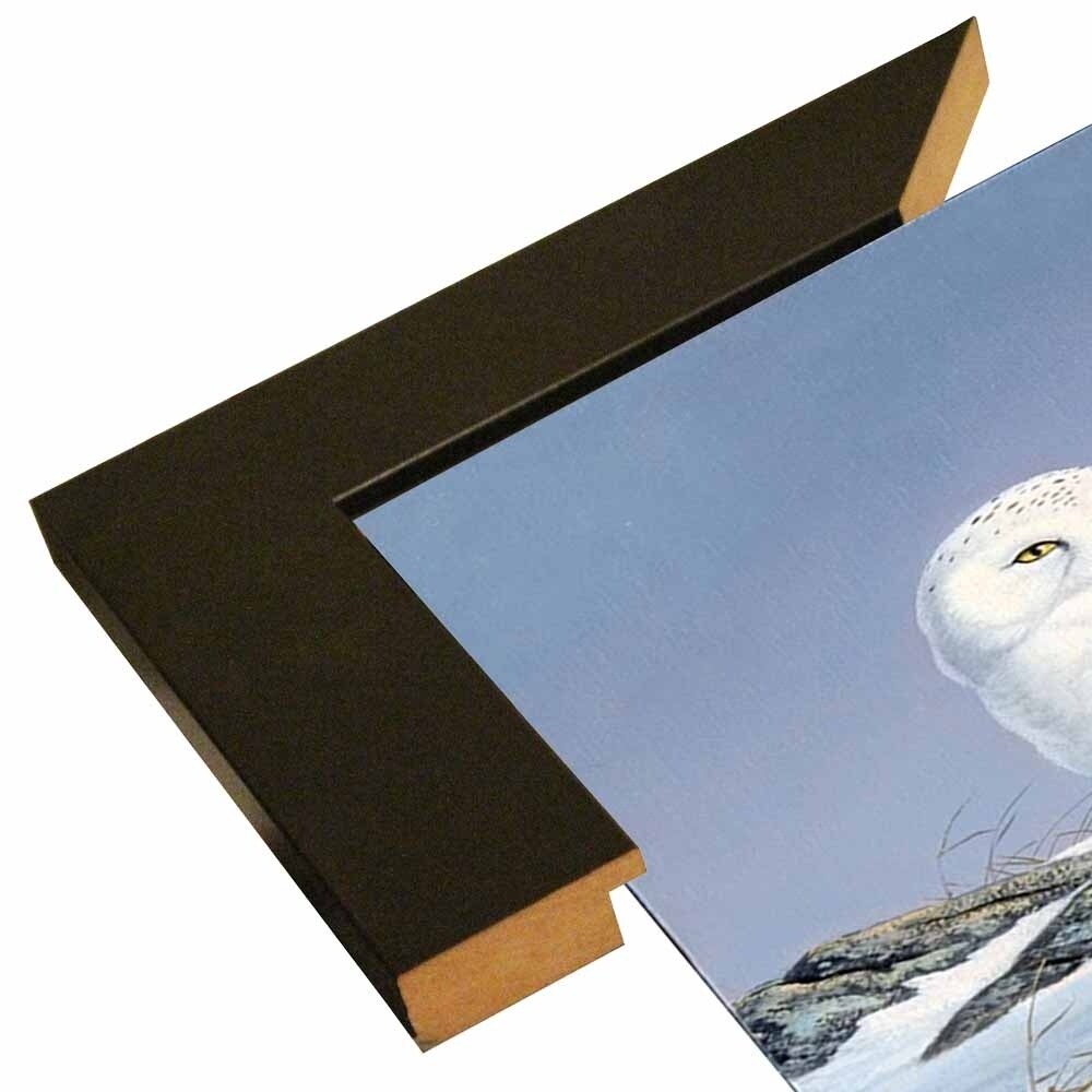Snowy Owl-WILGOE81236 Framed Print 10.75"x6.75" by Wilhelm Goebel