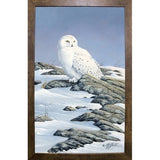 Snowy Owl-WILGOE81236 Framed Print 10.75"x6.75" by Wilhelm Goebel