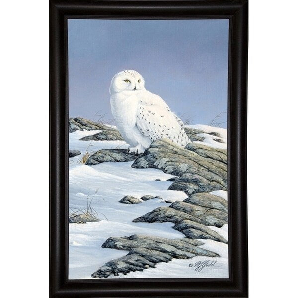 Snowy Owl-WILGOE81236 Framed Print 10.75"x6.75" by Wilhelm Goebel