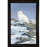Snowy Owl-WILGOE81236 Framed Print 10.75"x6.75" by Wilhelm Goebel