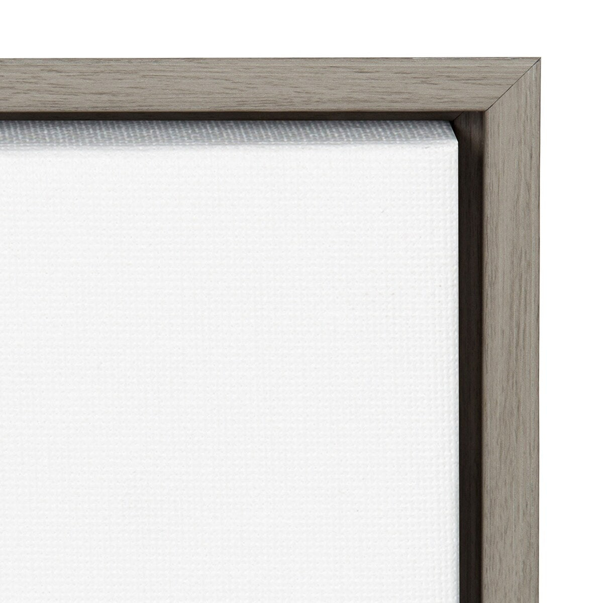 Soft Coastal I by Isabelle Z Framed Canvas Wall Art Print
