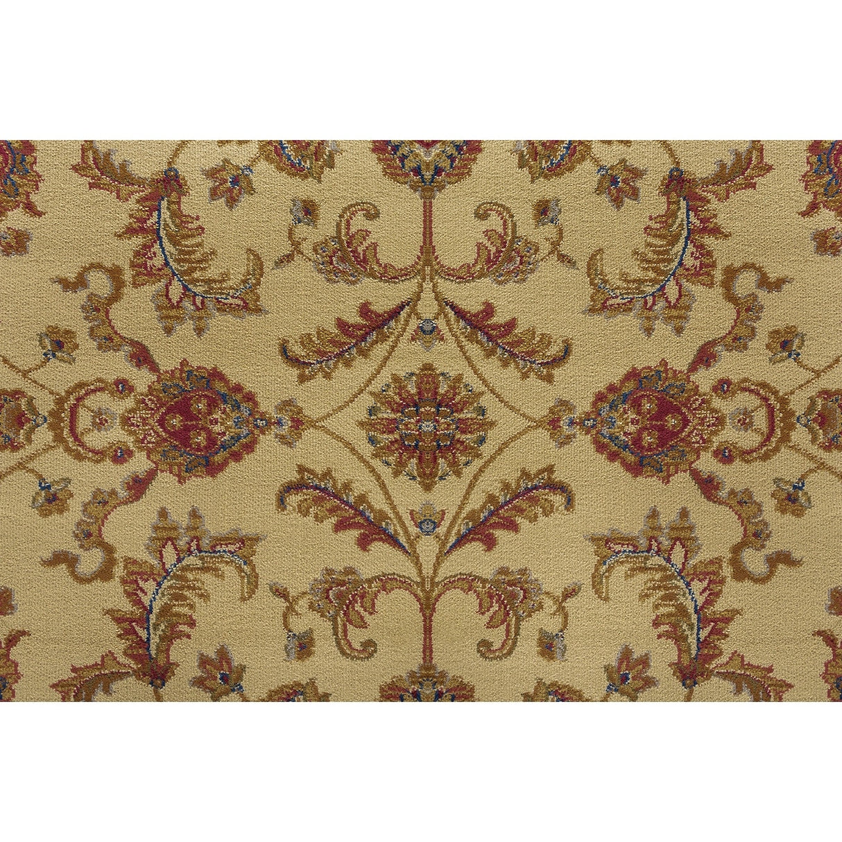 Soho Traditional Floral Indoor Area Rug