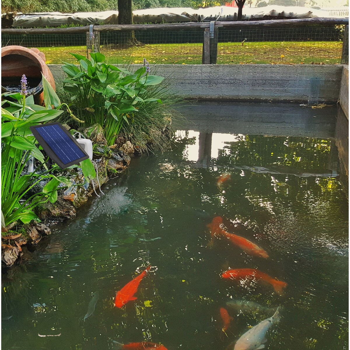Solar Powered Pond Aerator Air Pump - Aquarium Fish Tank Oxygenator with 2 Air Stone Diffusers, with Battery Backup - regular