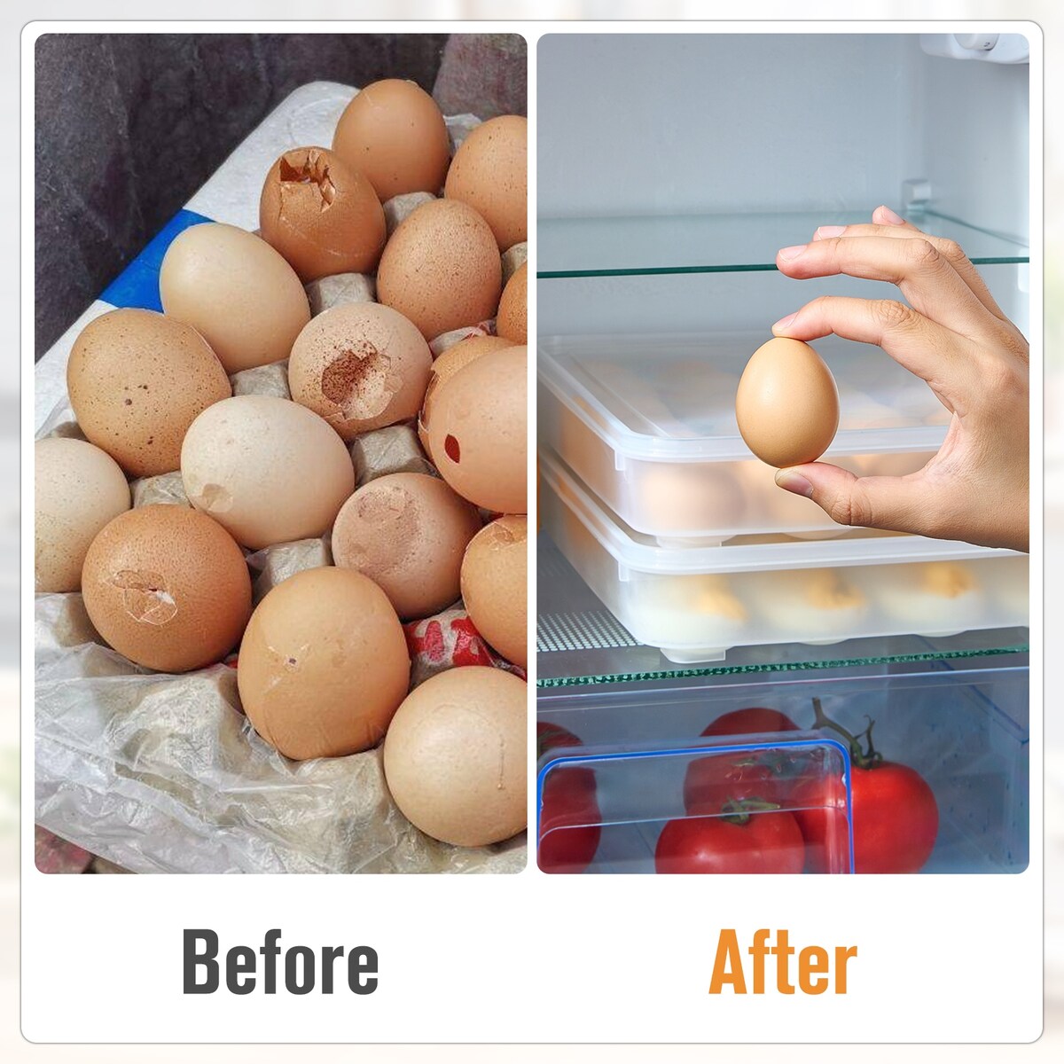 Sorbus 2 Pack Egg Containers with Lids - Clear Deviled Egg Tray (Holds 48-Egg)