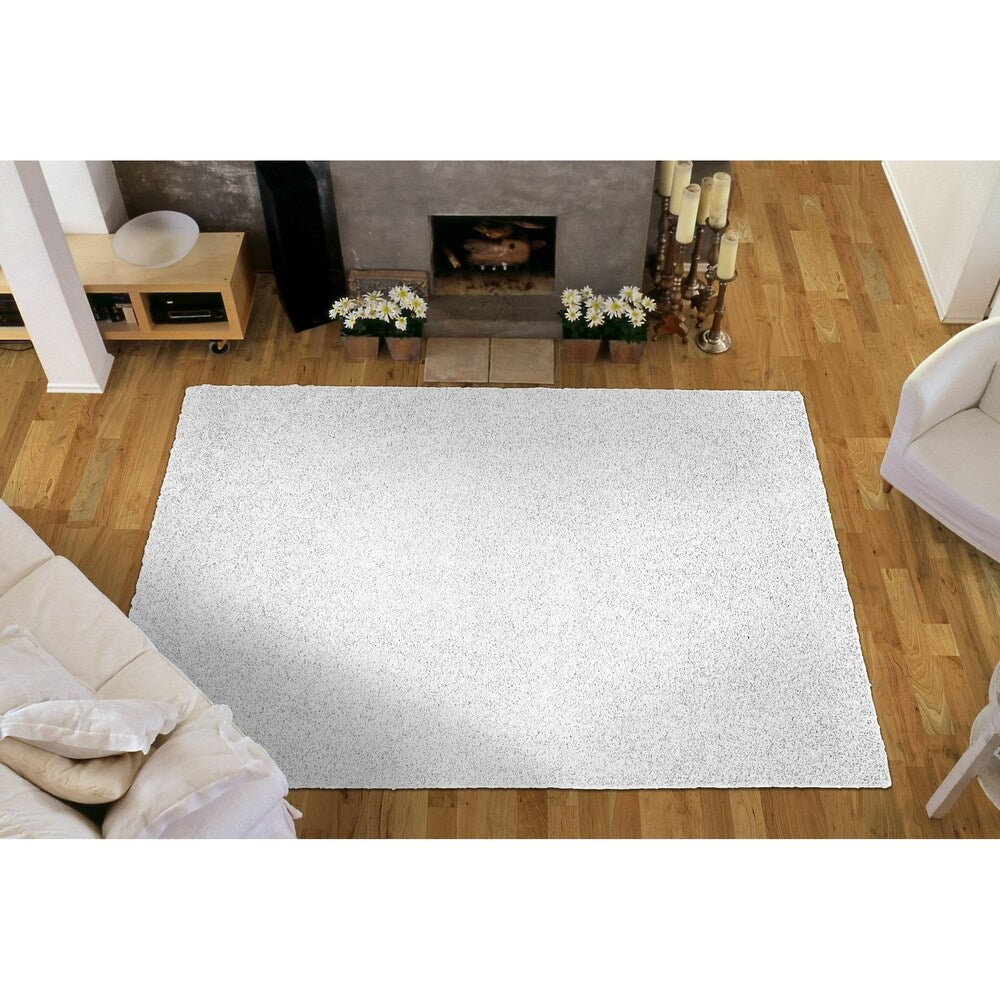 Southpointe Shag 6 ' x 9 ' Living Room Area Rug