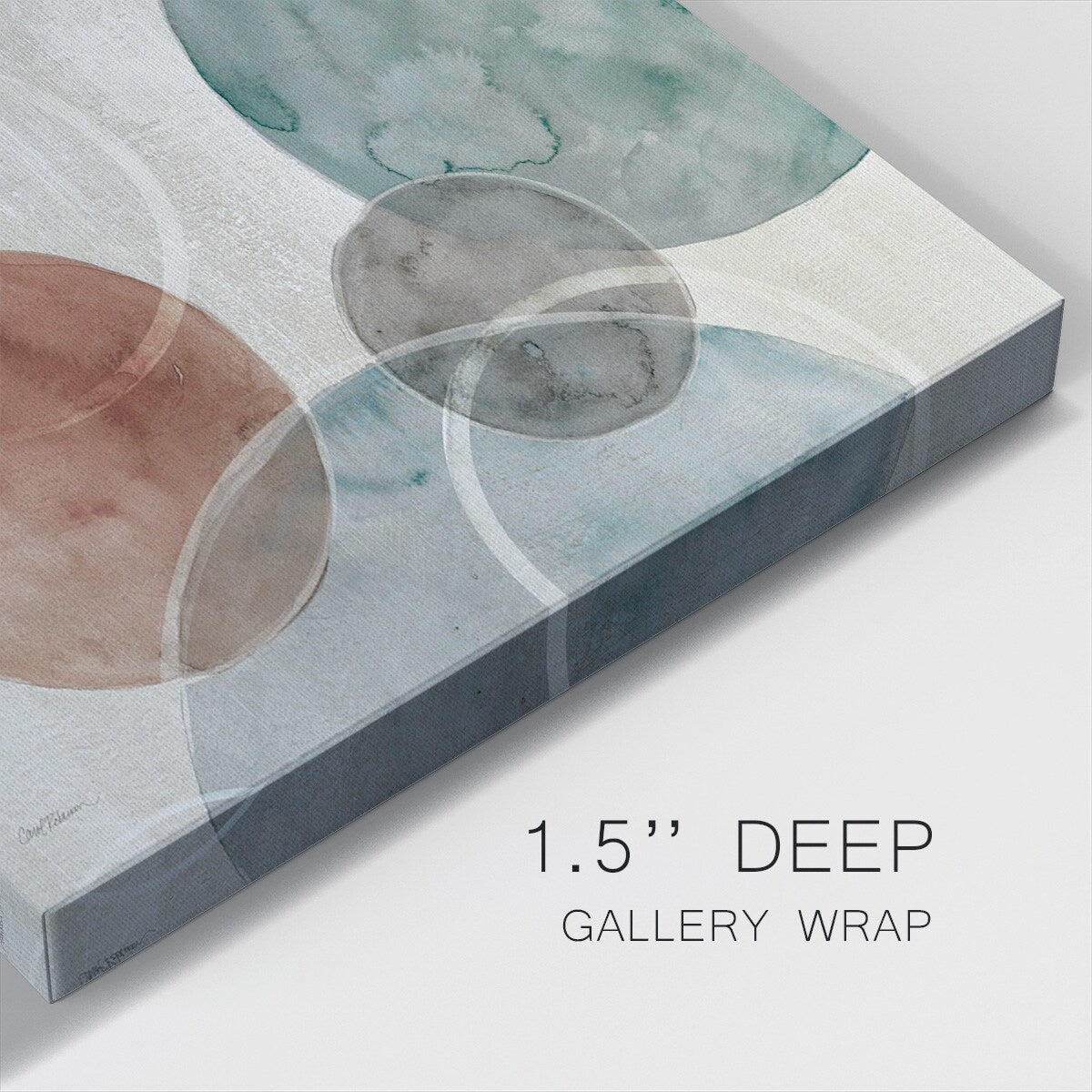Spatial Curves Revisited-Gallery Wrapped Canvas