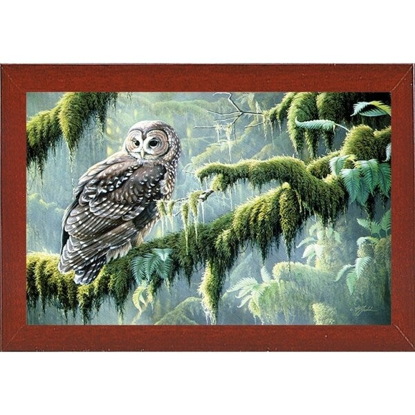 Spirit Of Ancient Forests - Spotted Owl-WILGOE2778 Framed Print 16"x26.5" by Wilhelm Goebel
