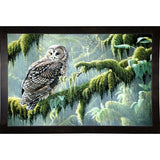 Spirit Of Ancient Forests - Spotted Owl-WILGOE2778 Framed Print 16"x26.5" by Wilhelm Goebel