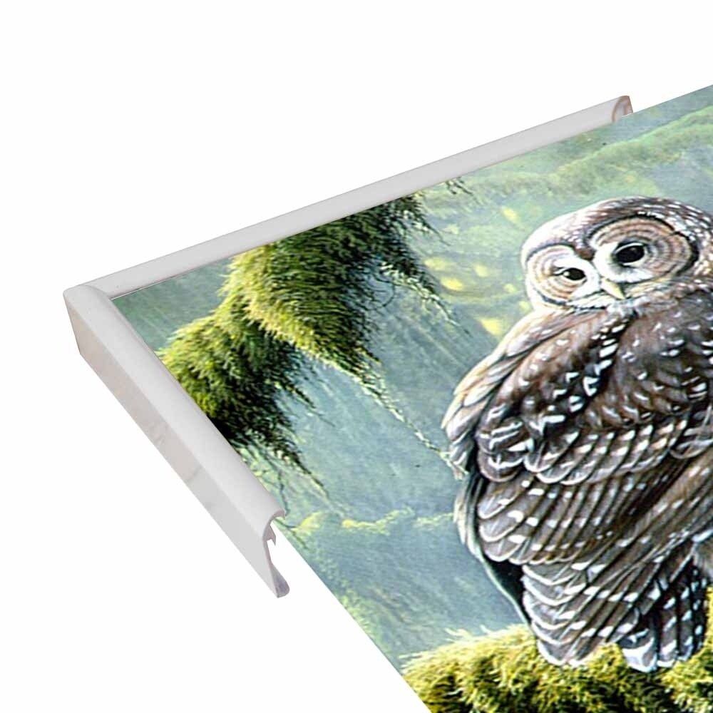 Spirit Of Ancient Forests - Spotted Owl-WILGOE2778 Framed Print 16"x26.5" by Wilhelm Goebel