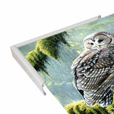 Spirit Of Ancient Forests - Spotted Owl-WILGOE2778 Framed Print 16"x26.5" by Wilhelm Goebel