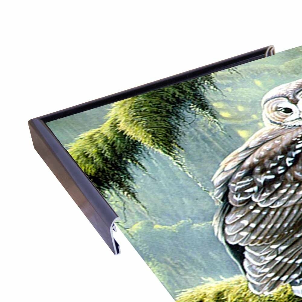 Spirit Of Ancient Forests - Spotted Owl-WILGOE2778 Framed Print 16"x26.5" by Wilhelm Goebel