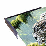 Spirit Of Ancient Forests - Spotted Owl-WILGOE2778 Framed Print 16"x26.5" by Wilhelm Goebel
