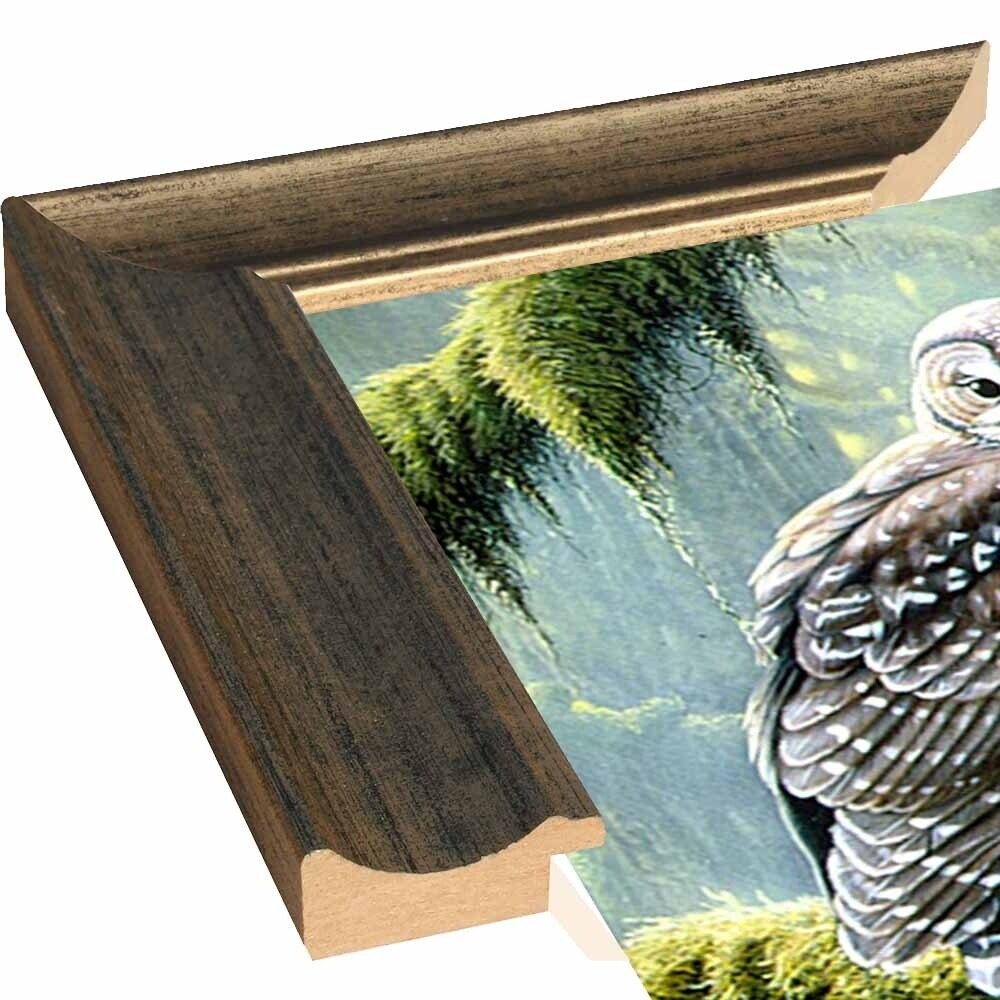 Spirit Of Ancient Forests - Spotted Owl-WILGOE2778 Framed Print 16"x26.5" by Wilhelm Goebel