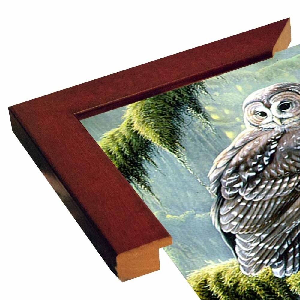 Spirit Of Ancient Forests - Spotted Owl-WILGOE2778 Framed Print 16"x26.5" by Wilhelm Goebel