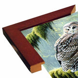 Spirit Of Ancient Forests - Spotted Owl-WILGOE2778 Framed Print 16"x26.5" by Wilhelm Goebel