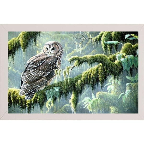 Spirit Of Ancient Forests - Spotted Owl-WILGOE2778 Framed Print 16"x26.5" by Wilhelm Goebel