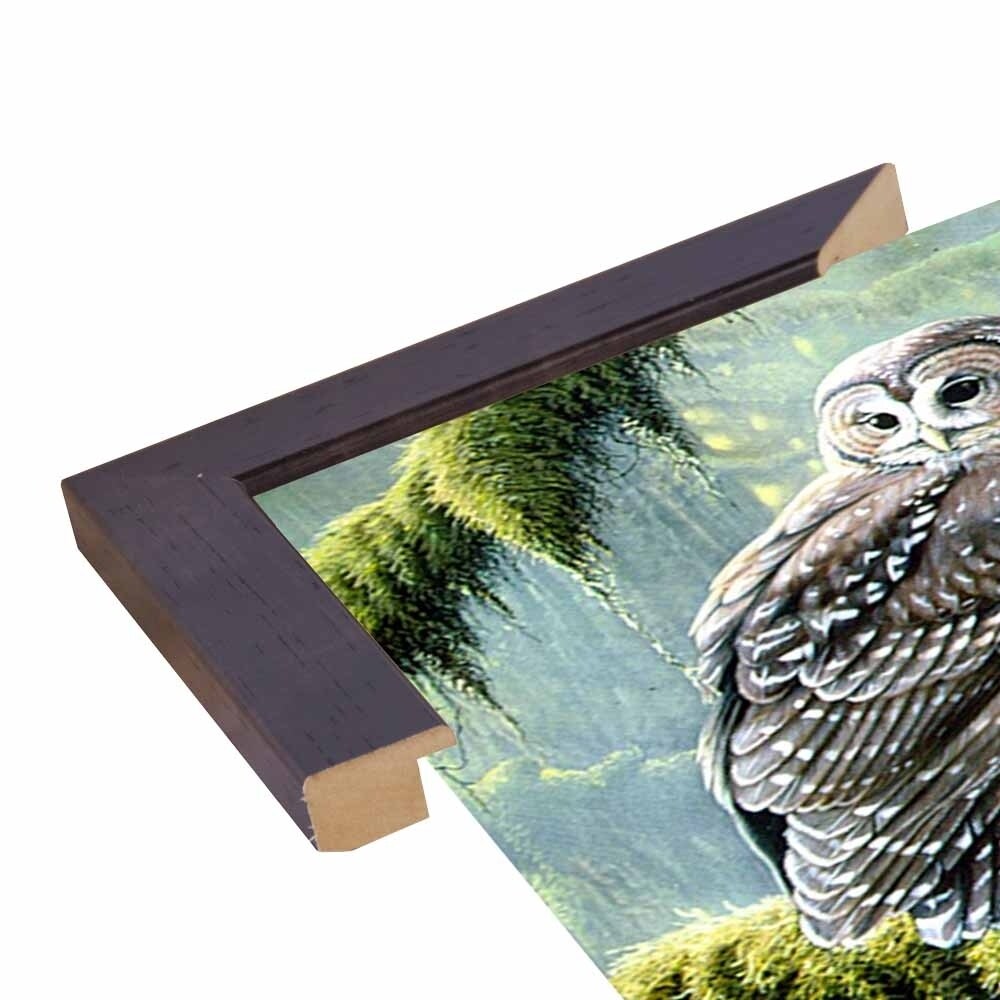 Spirit Of Ancient Forests - Spotted Owl-WILGOE2778 Framed Print 16"x26.5" by Wilhelm Goebel