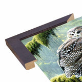 Spirit Of Ancient Forests - Spotted Owl-WILGOE2778 Framed Print 16"x26.5" by Wilhelm Goebel