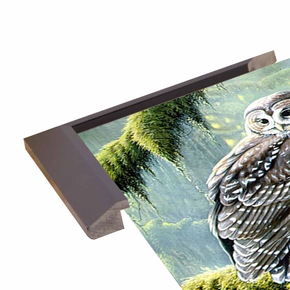 Spirit Of Ancient Forests - Spotted Owl-WILGOE2778 Framed Print 16"x26.5" by Wilhelm Goebel