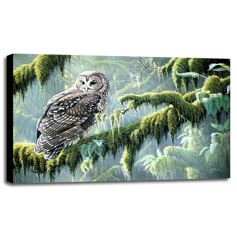 Spirit Of Ancient Forests - Spotted Owl-WILGOE2778 Framed Print 16"x26.5" by Wilhelm Goebel