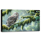 Spirit Of Ancient Forests - Spotted Owl-WILGOE2778 Framed Print 16"x26.5" by Wilhelm Goebel