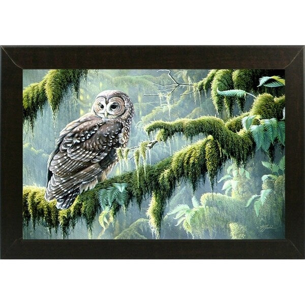 Spirit Of Ancient Forests - Spotted Owl-WILGOE2778 Framed Print 16"x26.5" by Wilhelm Goebel
