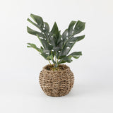 Split leaf in 6" Basket