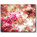 Spring Blooms 20x16 Gallery Wrapped Stretched Canvas