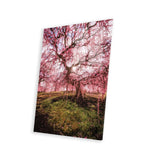 Spring In Japan XXX Print On Acrylic Glass by Daisuke Uematsu