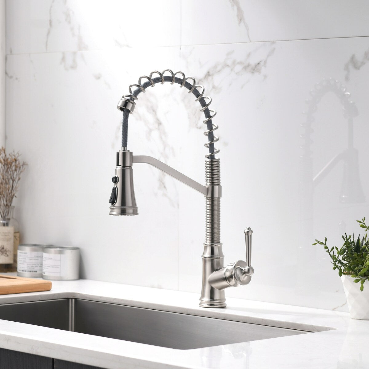 Spring Neck Single-Handle Pull-Down Sprayer Kitchen Faucet