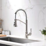 Spring Neck Single-Handle Pull-Down Sprayer Kitchen Faucet
