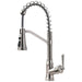 Spring Neck Single-Handle Pull-Down Sprayer Kitchen Faucet