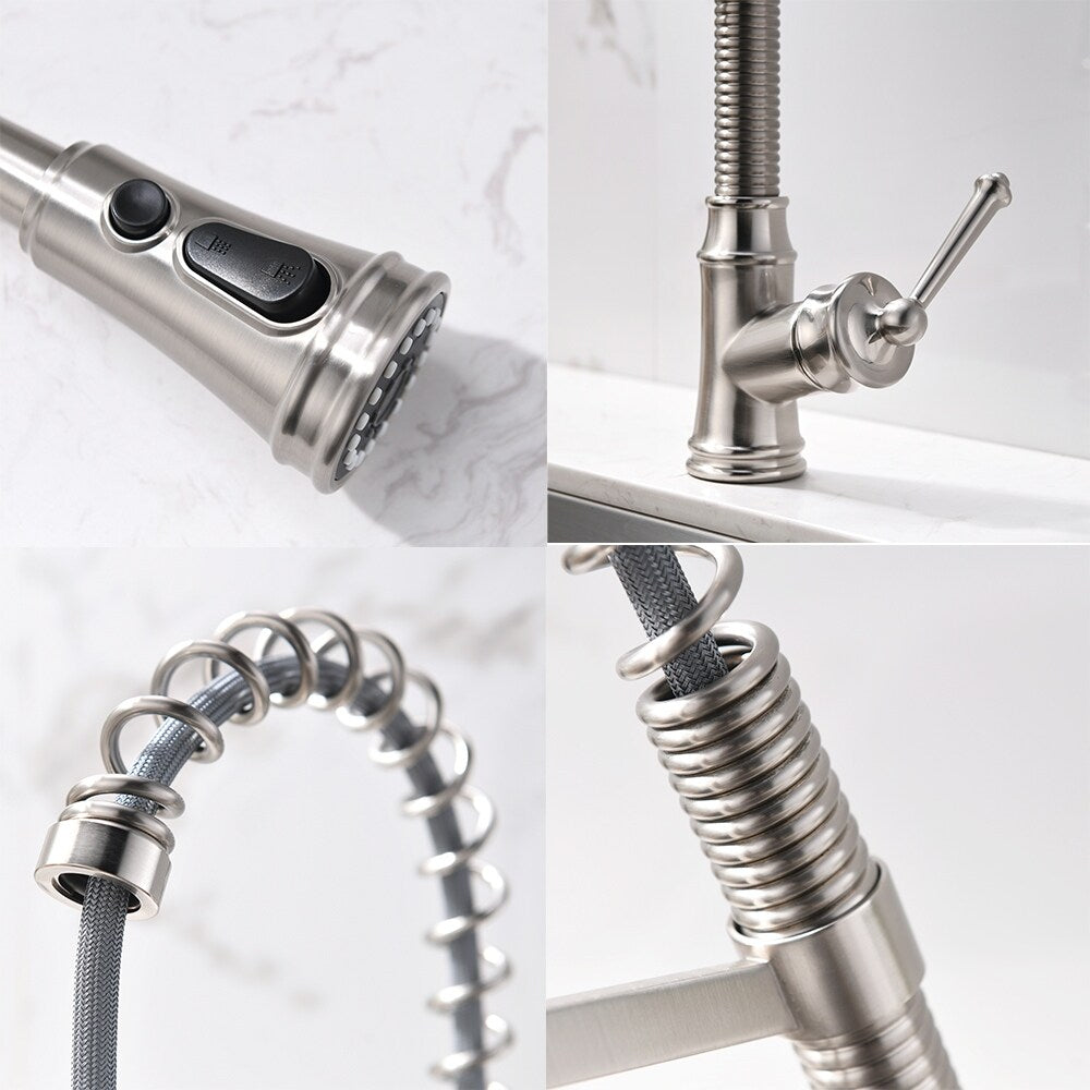 Spring Neck Single-Handle Pull-Down Sprayer Kitchen Faucet
