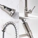 Spring Neck Single-Handle Pull-Down Sprayer Kitchen Faucet
