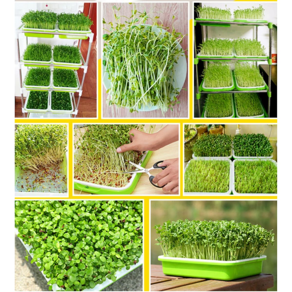 Sprouter Nursery Soilless Cultivation Seed Sprouts Seedling Plate - 2Set