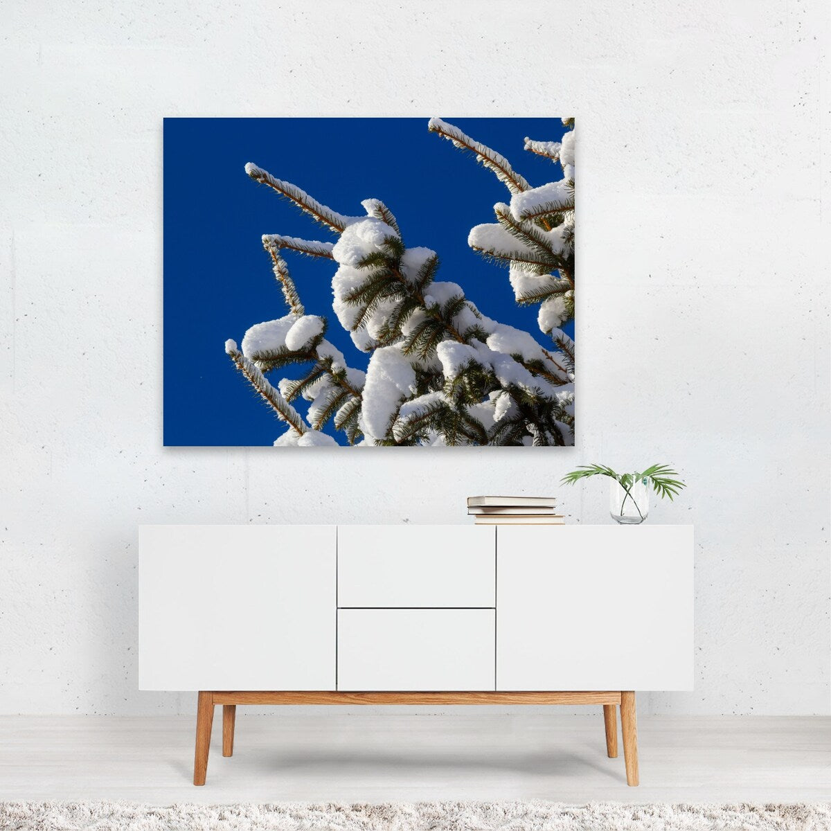 Spruce branch with small green Photography Art Print/Poster