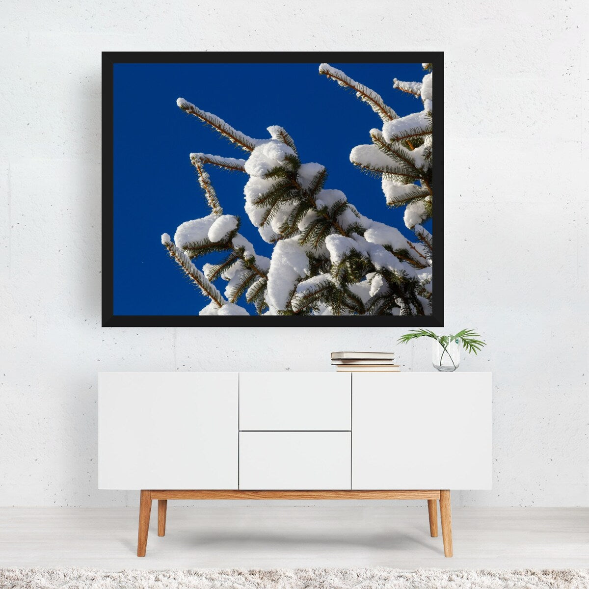 Spruce branch with small green Photography Art Print/Poster