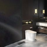 Stainless Steel Linear Shower Drain Matte Black