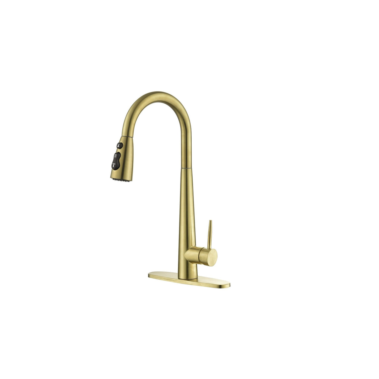 Single Handle Kitchen Sink Faucet with Pull Down Sprayer